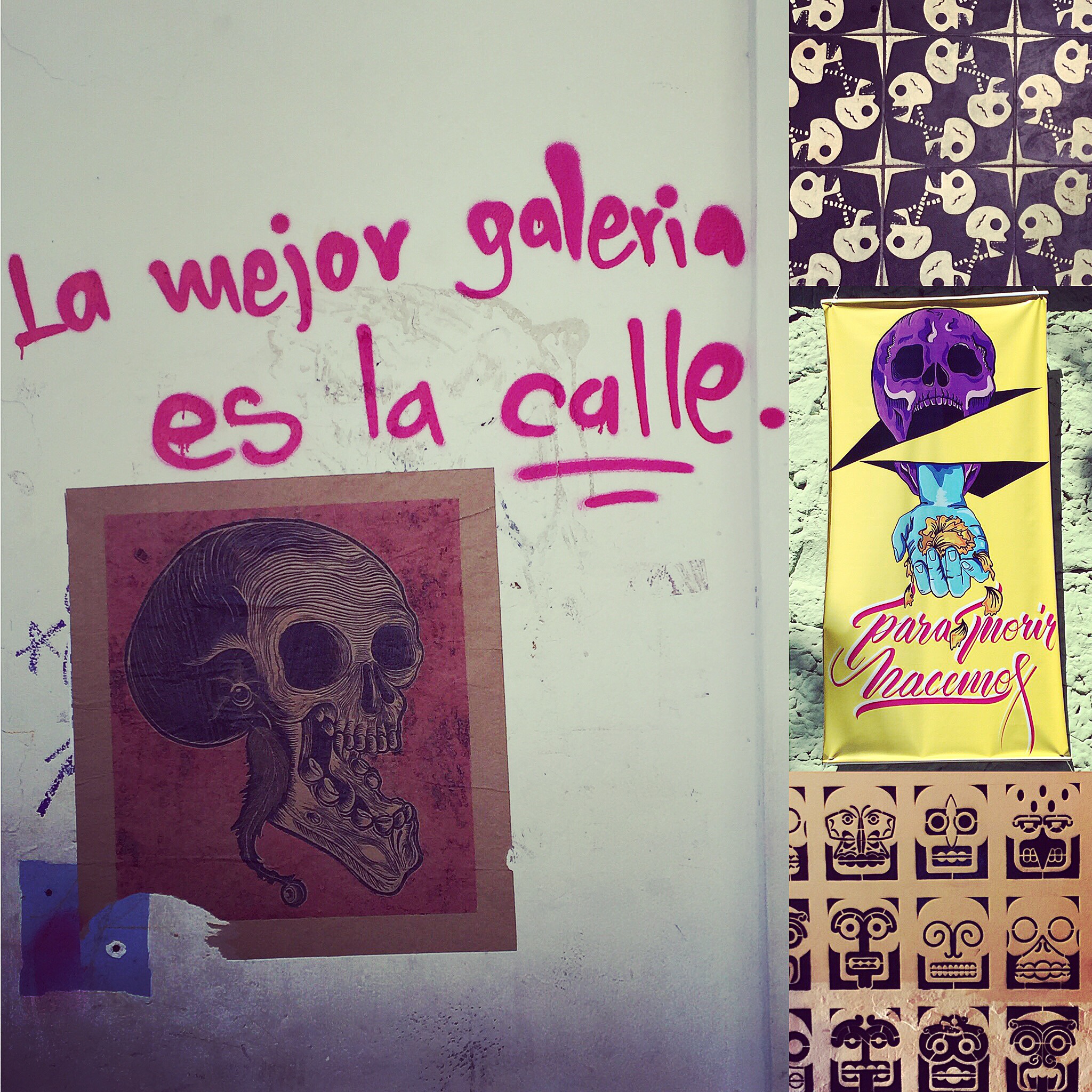 Iphone Back up August 2017 457