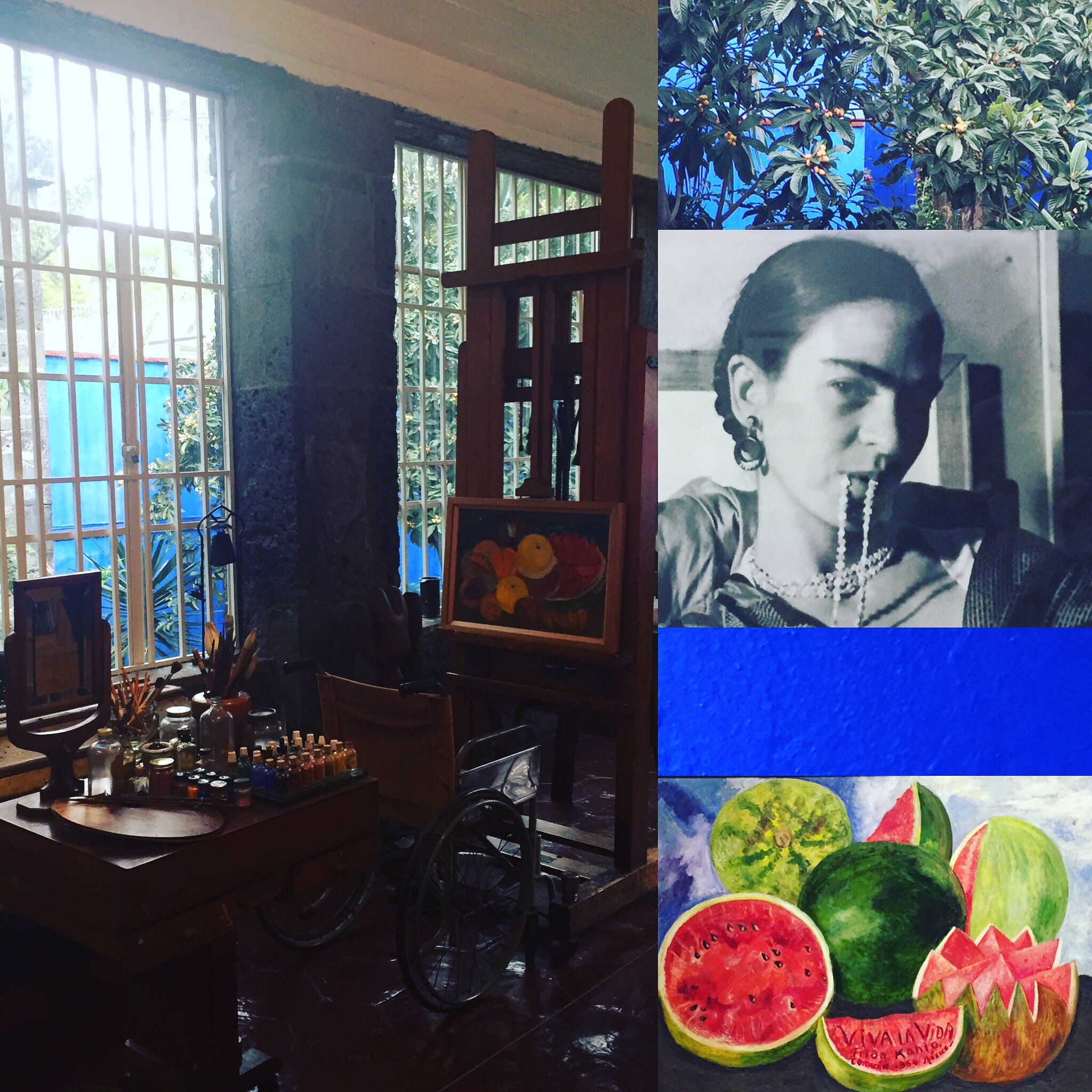 Iphone Back up August 2017 549