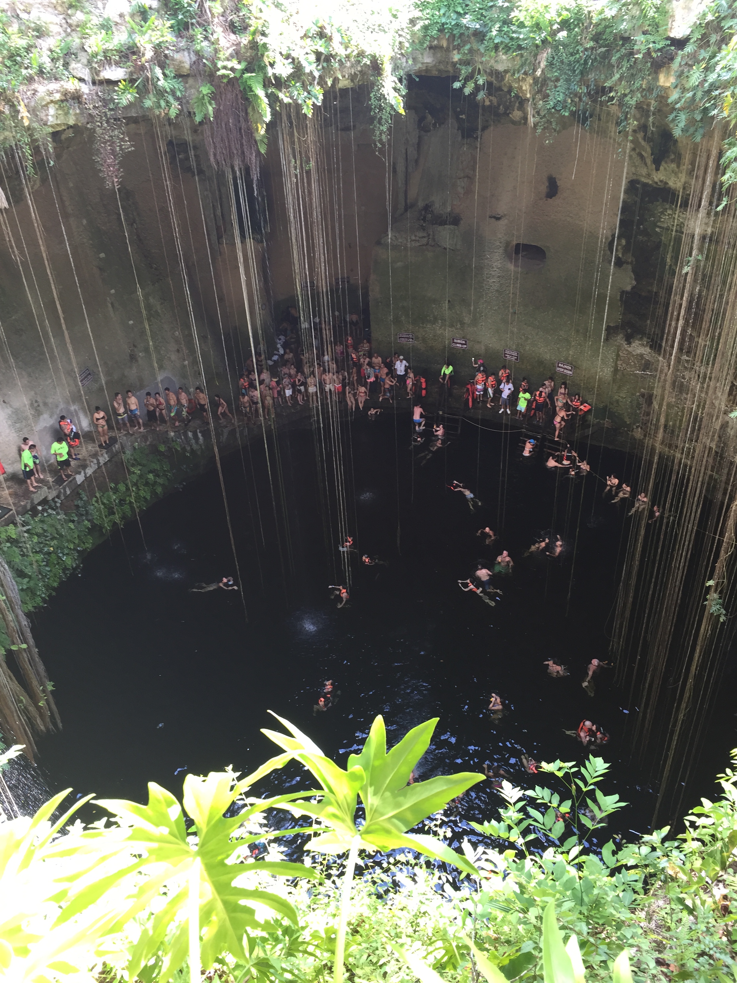 Iphone Back up August 2017 610