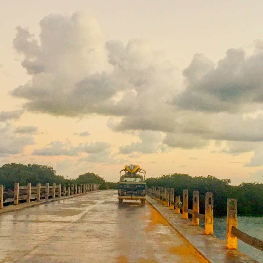 Iphone Back up August 2017 631