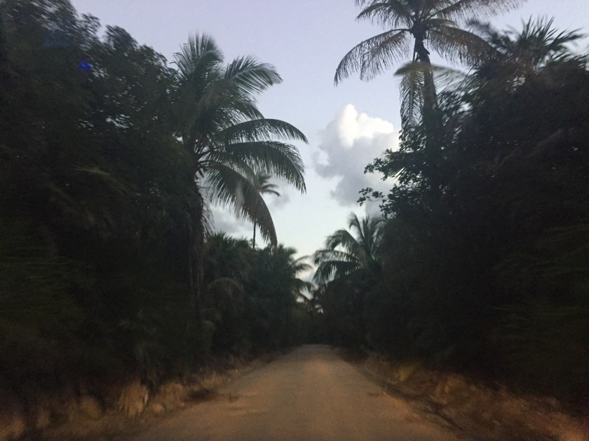 Iphone Back up August 2017 632