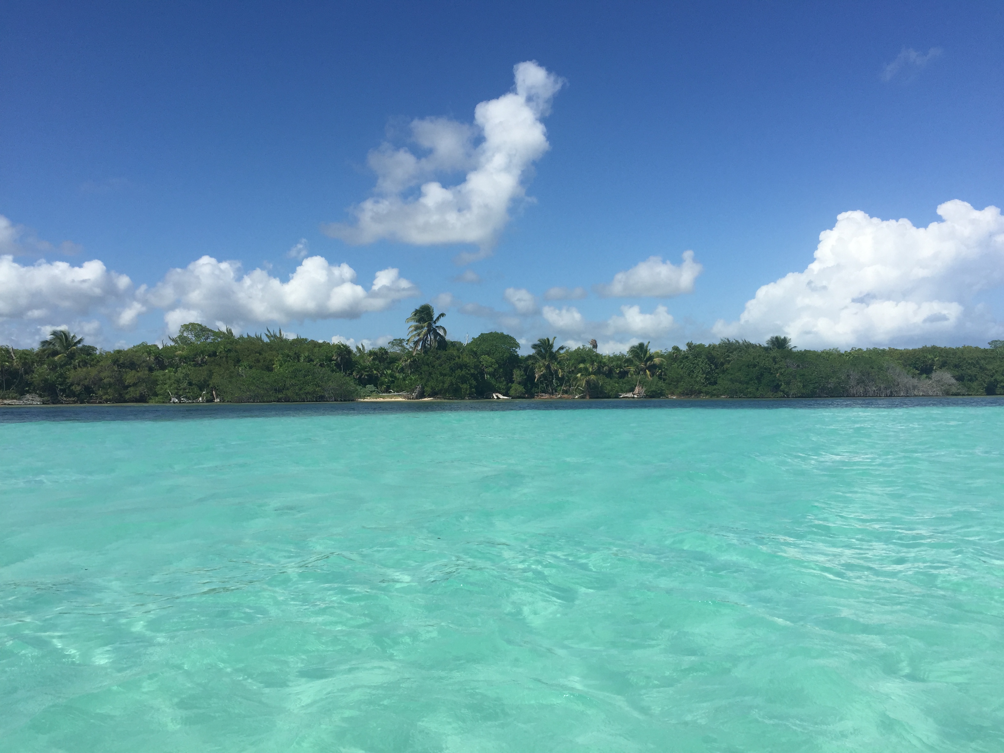 Iphone Back up August 2017 719