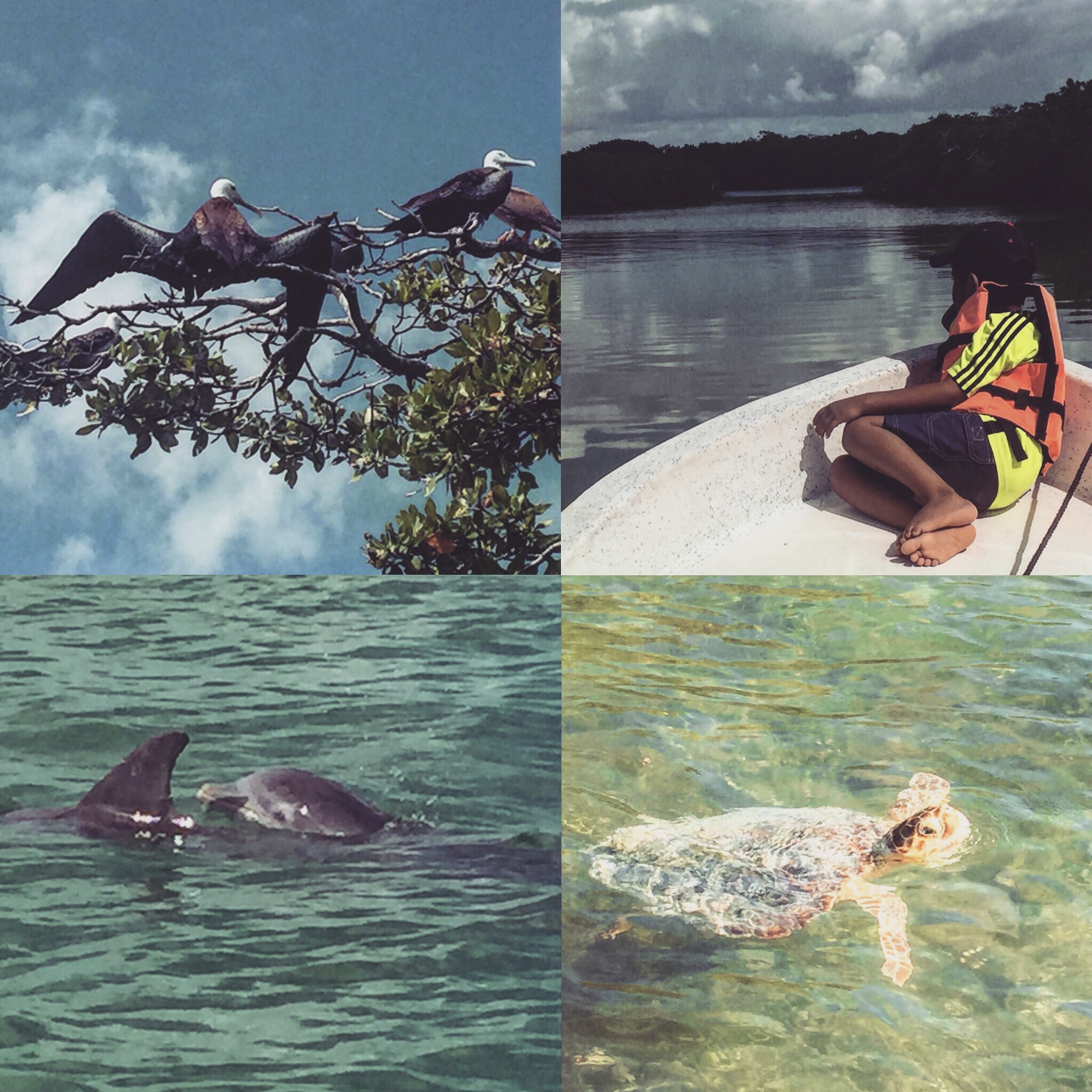 Iphone Back up August 2017 749