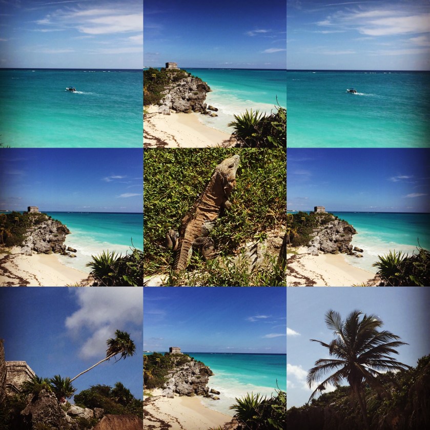 Iphone Back up August 2017 811